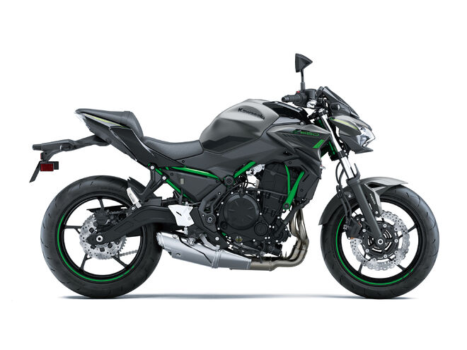 Motocykl Kawasaki Z650 šedá / 2024
