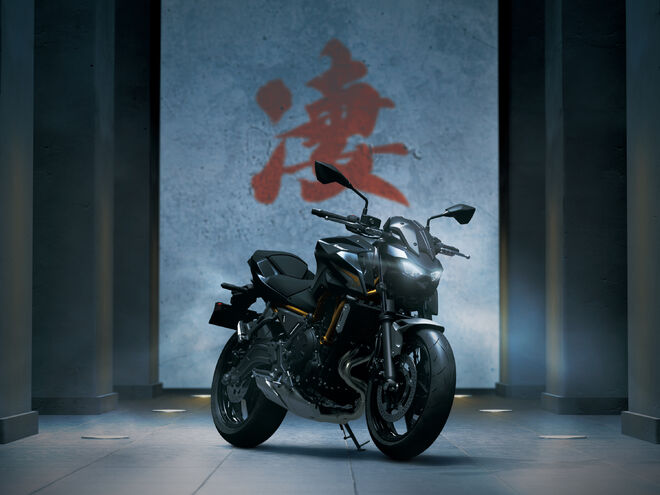 Motocykl Kawasaki Z650 S  šedá / 2026