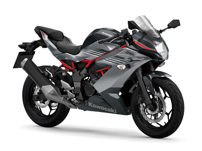 Motocykl Kawasaki Ninja 125 šedá / 2027