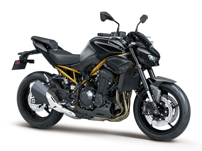 Motocykl Kawasaki Z900 šedá / 2026 !! POSLEDNÍ KUS V TÉTO BARVĚ !!