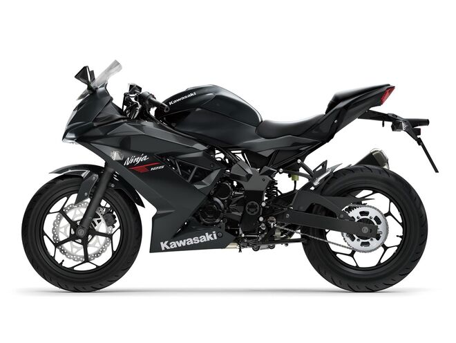 Motocykl Kawasaki Ninja 125 černá / 2026