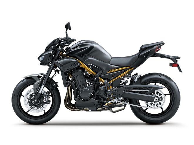 Motocykl Kawasaki Z900 šedá / 2026