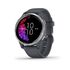 Garmin Venu Silver / Blue Band