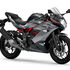 Motocykl Kawasaki Ninja 125 šedá / 2027