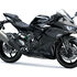 Motocykl Kawasaki Ninja ZX-4RR šedá / 2026