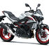 Motocykl Kawasaki Z500 SE bílá / 2026
